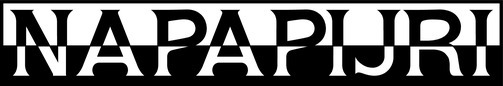 NAPAPIJRI_LOGO